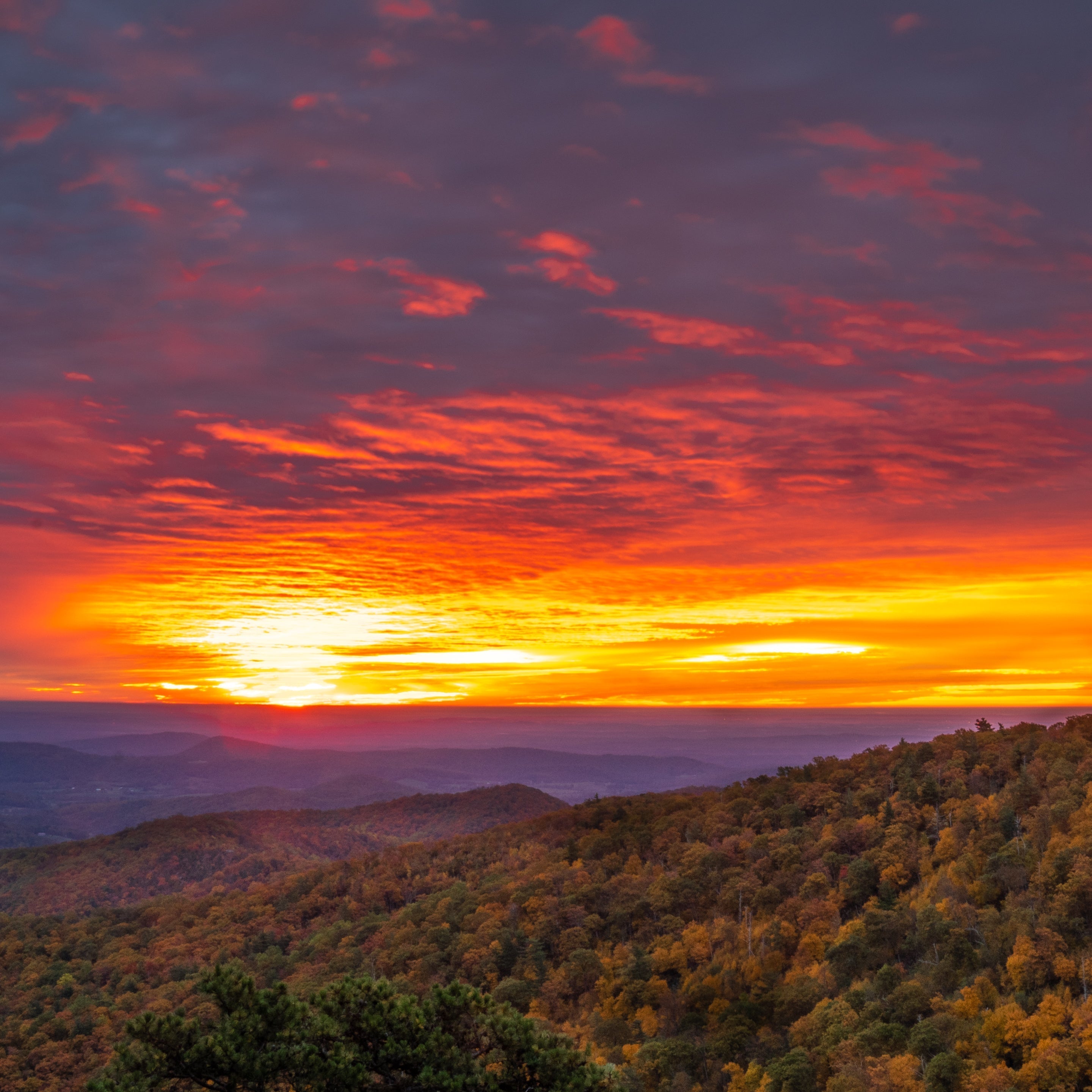Behind the Scenes: Photographing Shenandoah National Park at Sunrise