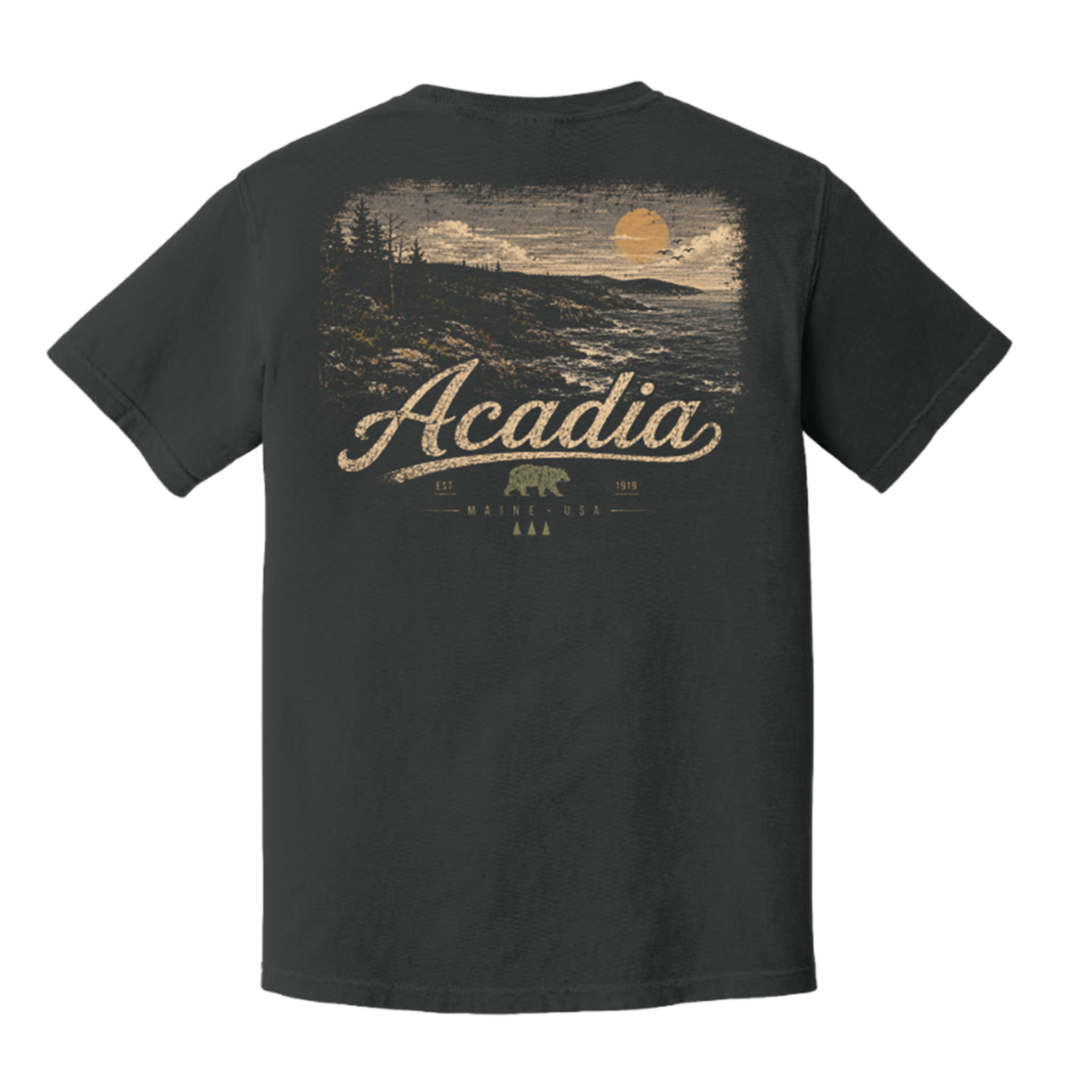 A dark charcoal gray t-shirt shown from the back, featuring a vintage-style graphic of a coastal sunset with the word 'Acadia' in a cursive font and a small bear logo below.
