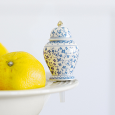 Nora Fleming Mini Ginger Jar