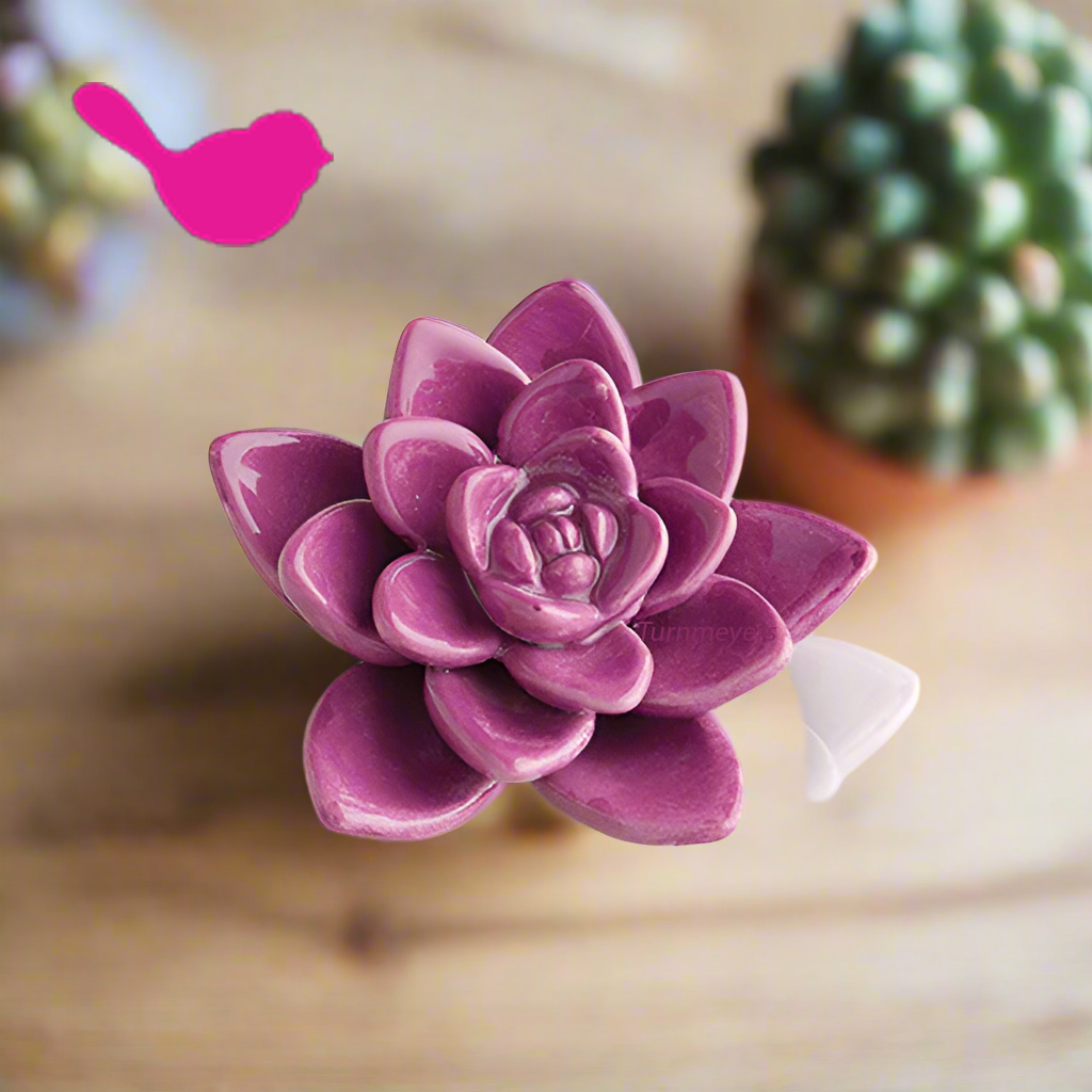 Nora Fleming Mini - Get Growing! Succulent
