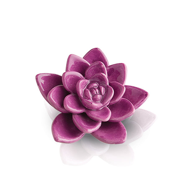 Nora Fleming Mini - Get Growing! Succulent