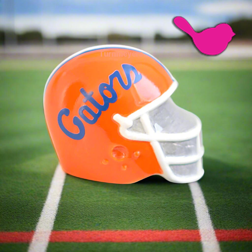 Nora Fleming Mini University of Florida Helmet