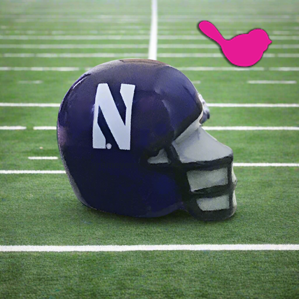 Nora Fleming Mini Northwestern Helmet