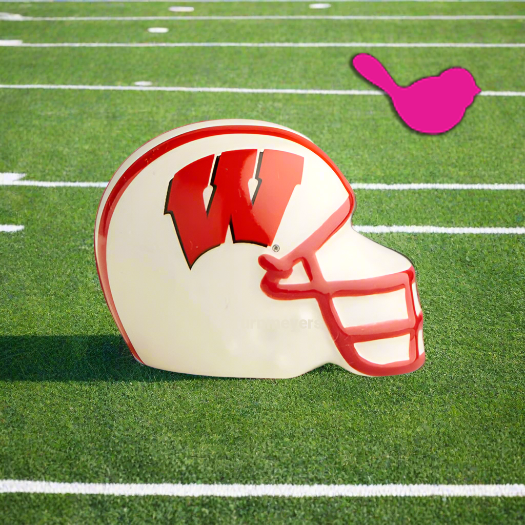 Nora Fleming Mini University of Wisconsin Helmet