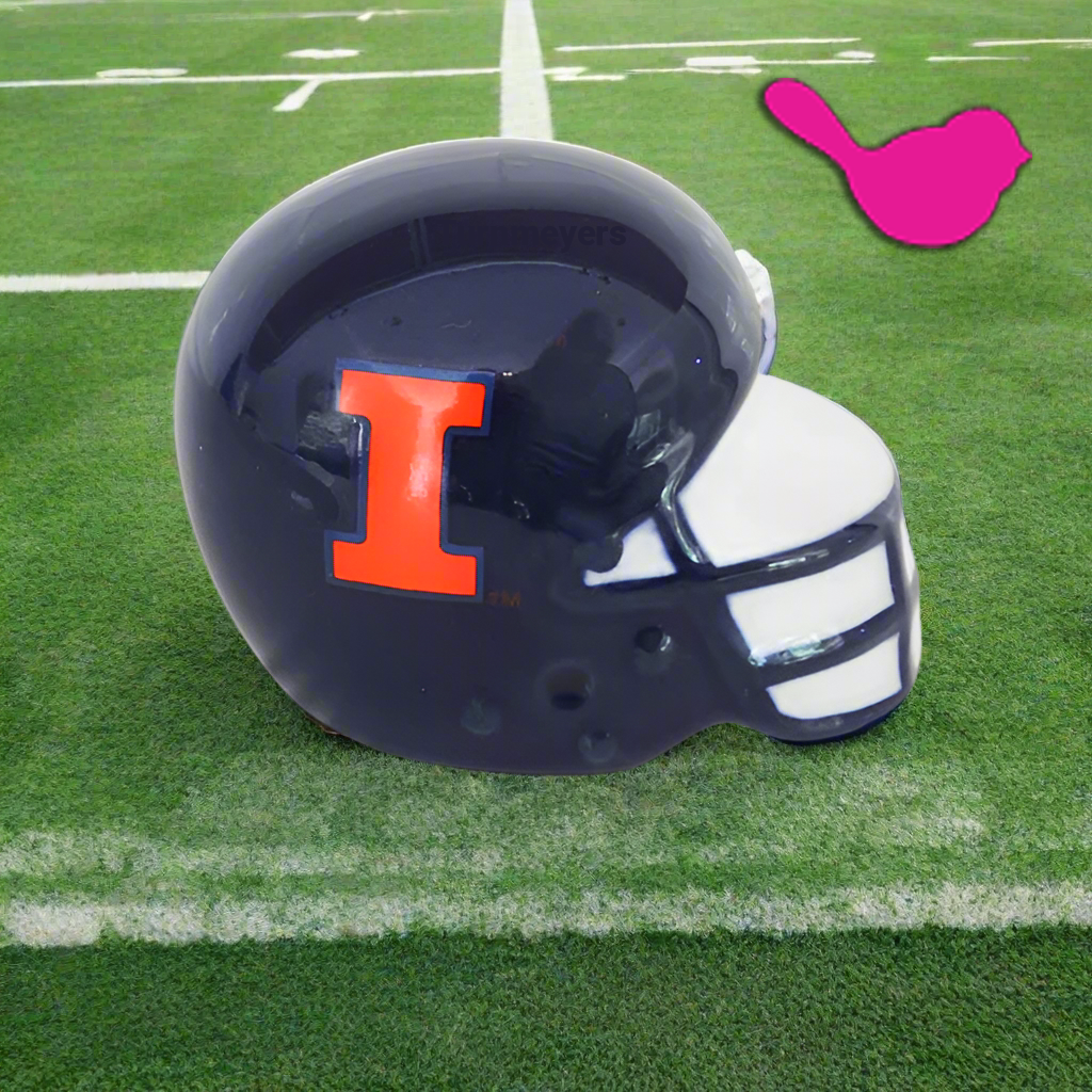 Nora Fleming Mini University of Illinois Helmet