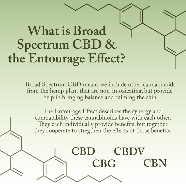 Naked Bee 2.3oz CBD Infused Topical Cream – 1000mg Broad Spectrum