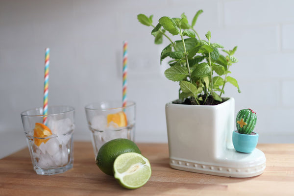 Nora Fleming Mini Can't Touch This Cactus