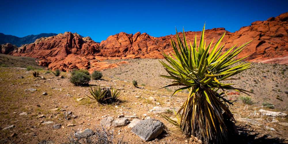 Day In The Red Rocks Fine Art Landscape Photography Print
