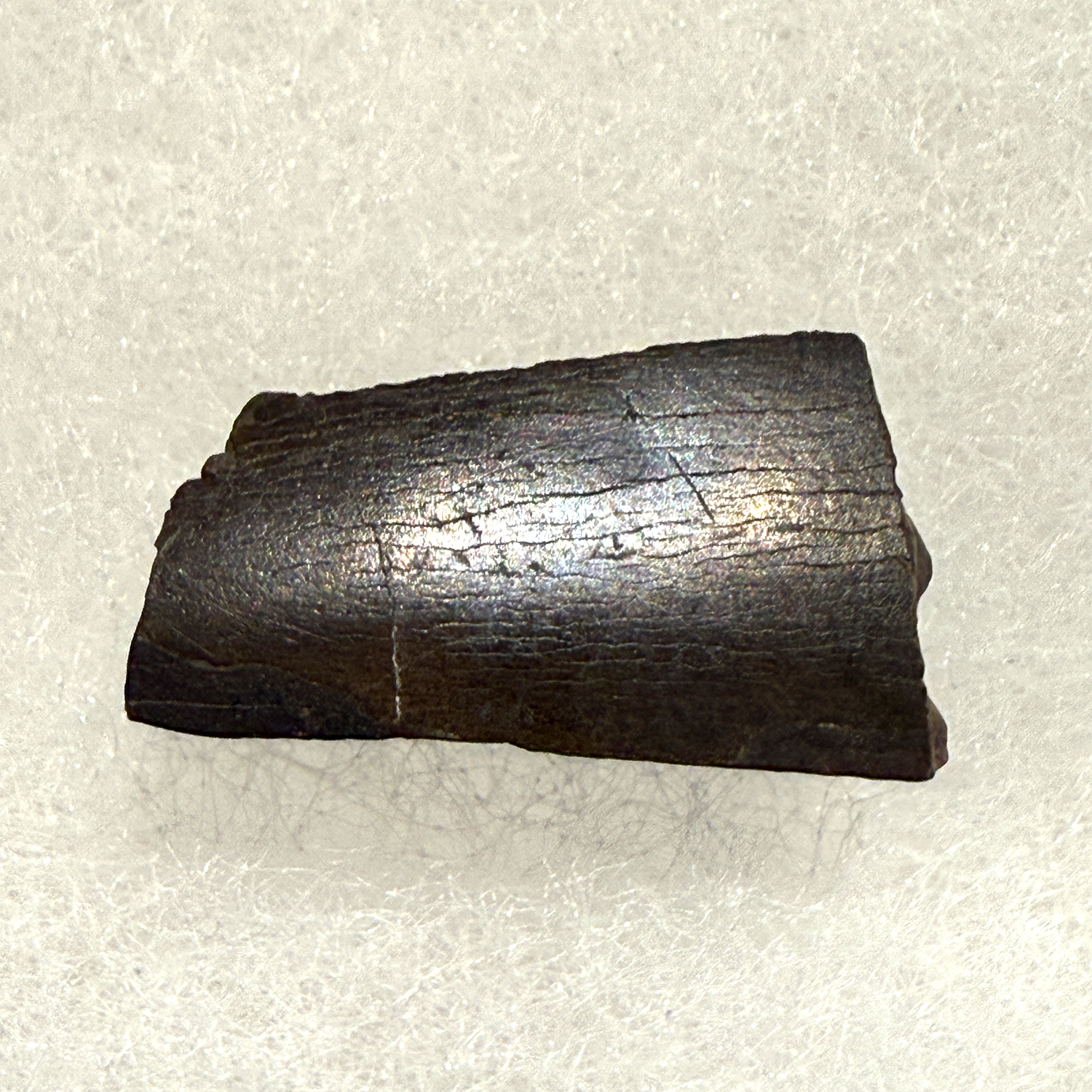 A polished dark brown to black natural stone or mineral chunk with visible crystalline texture and a metallic luster, photographed on a light textured surface.