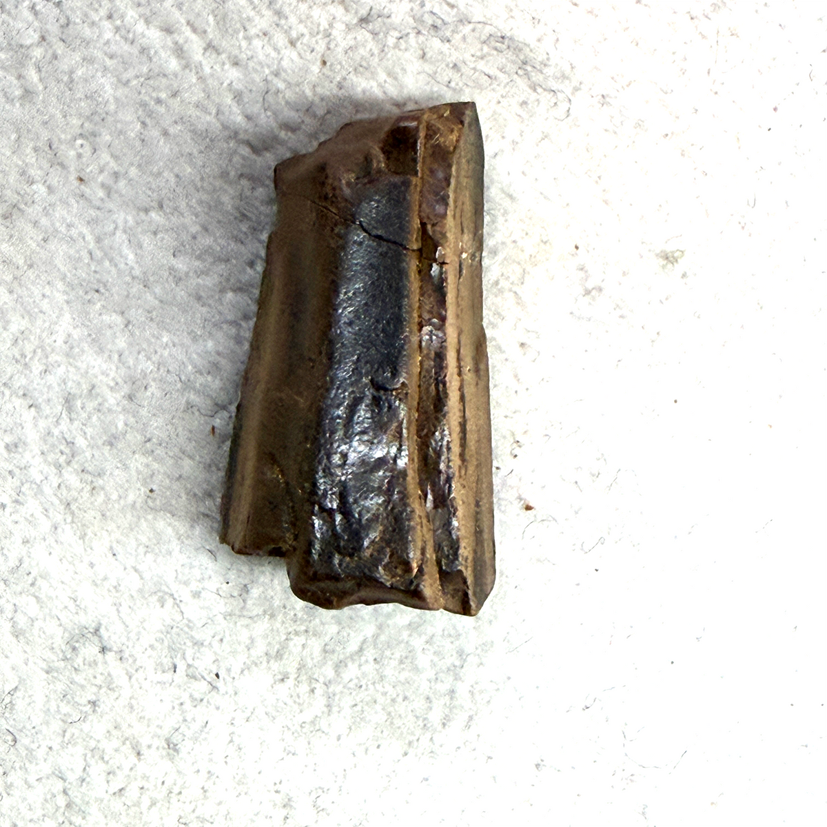 A raw, rough rectangular piece of dark brown wood or bamboo showing natural grain and a glossy black center, placed on a textured white surface.