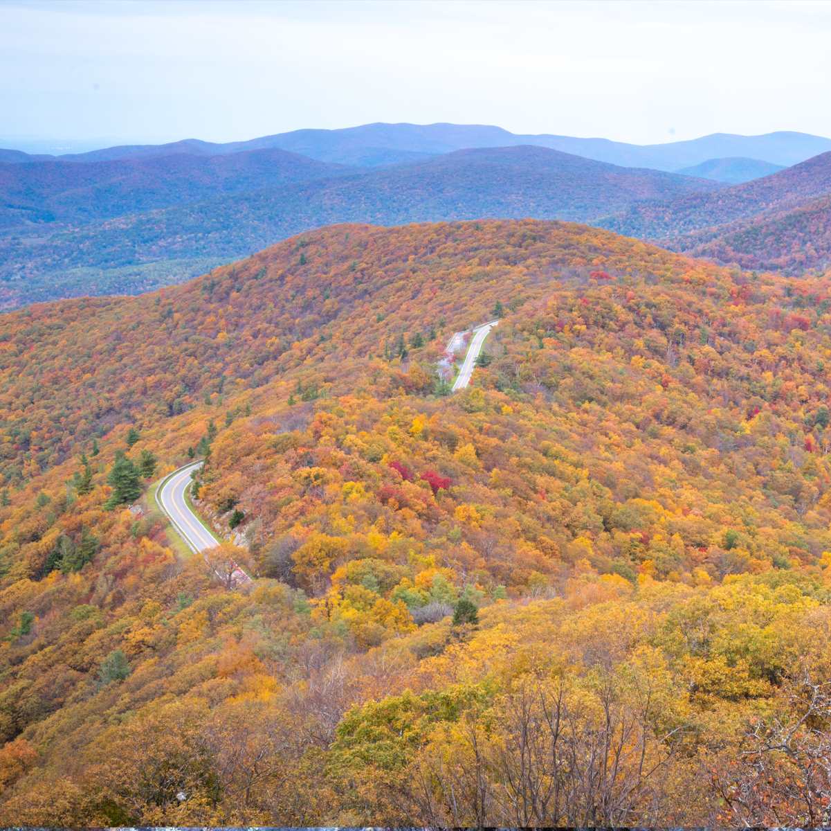 Blue Ridge In The Fall Photographic Coaster