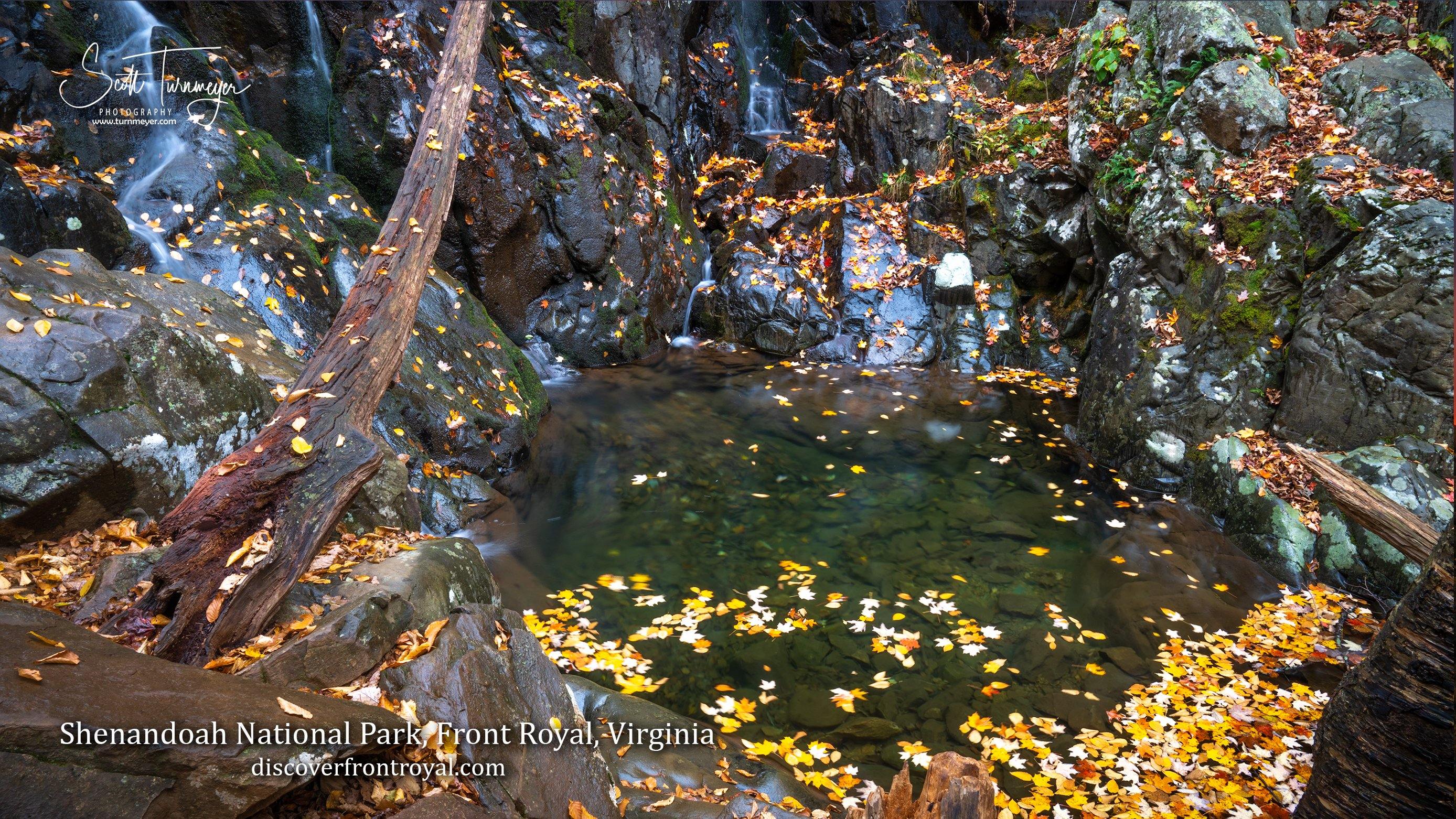 Shenandoah Valley Zoom Backgrounds - Turnmeyer Galleries