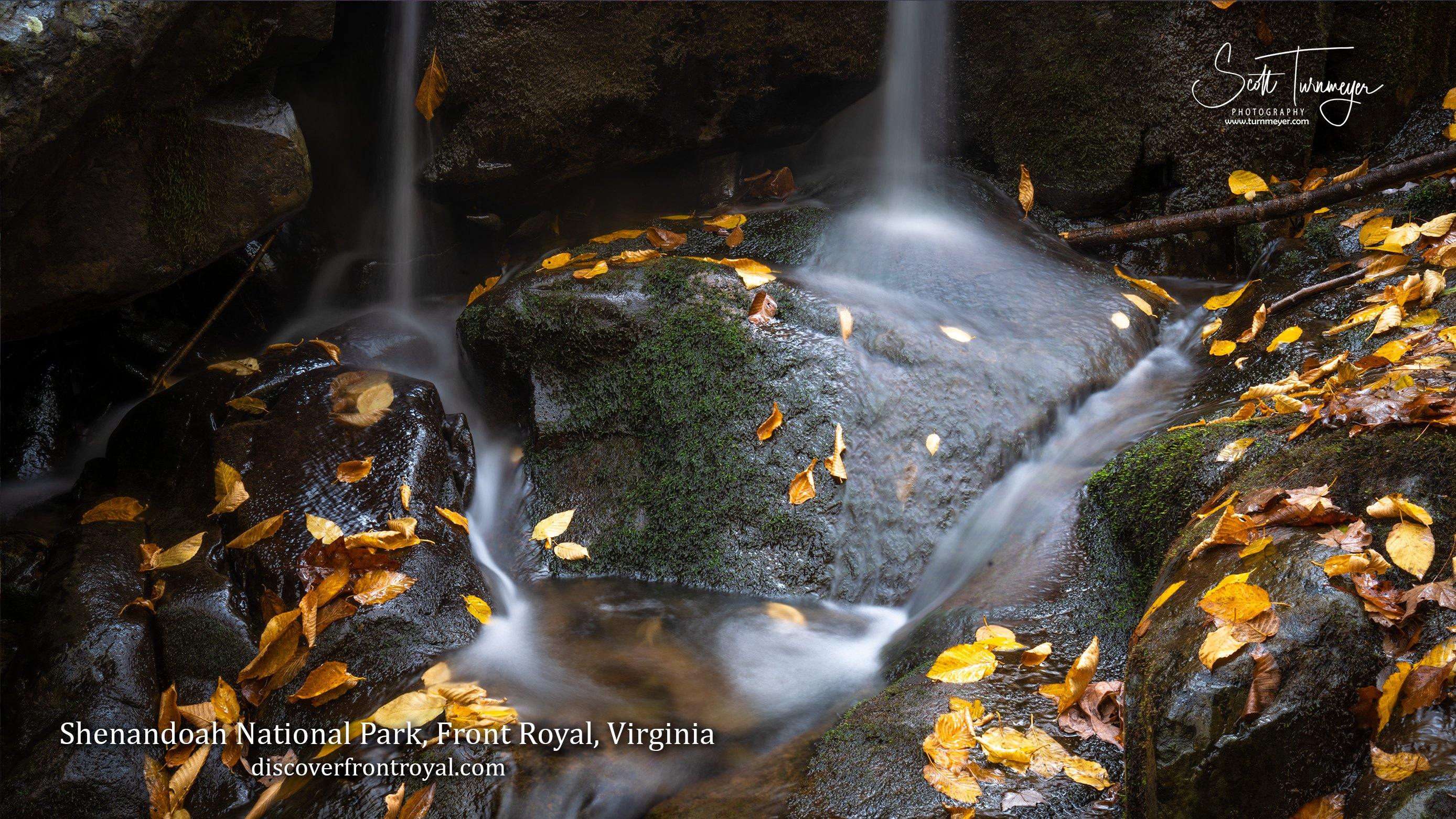 Shenandoah Valley Zoom Backgrounds - Turnmeyer Galleries