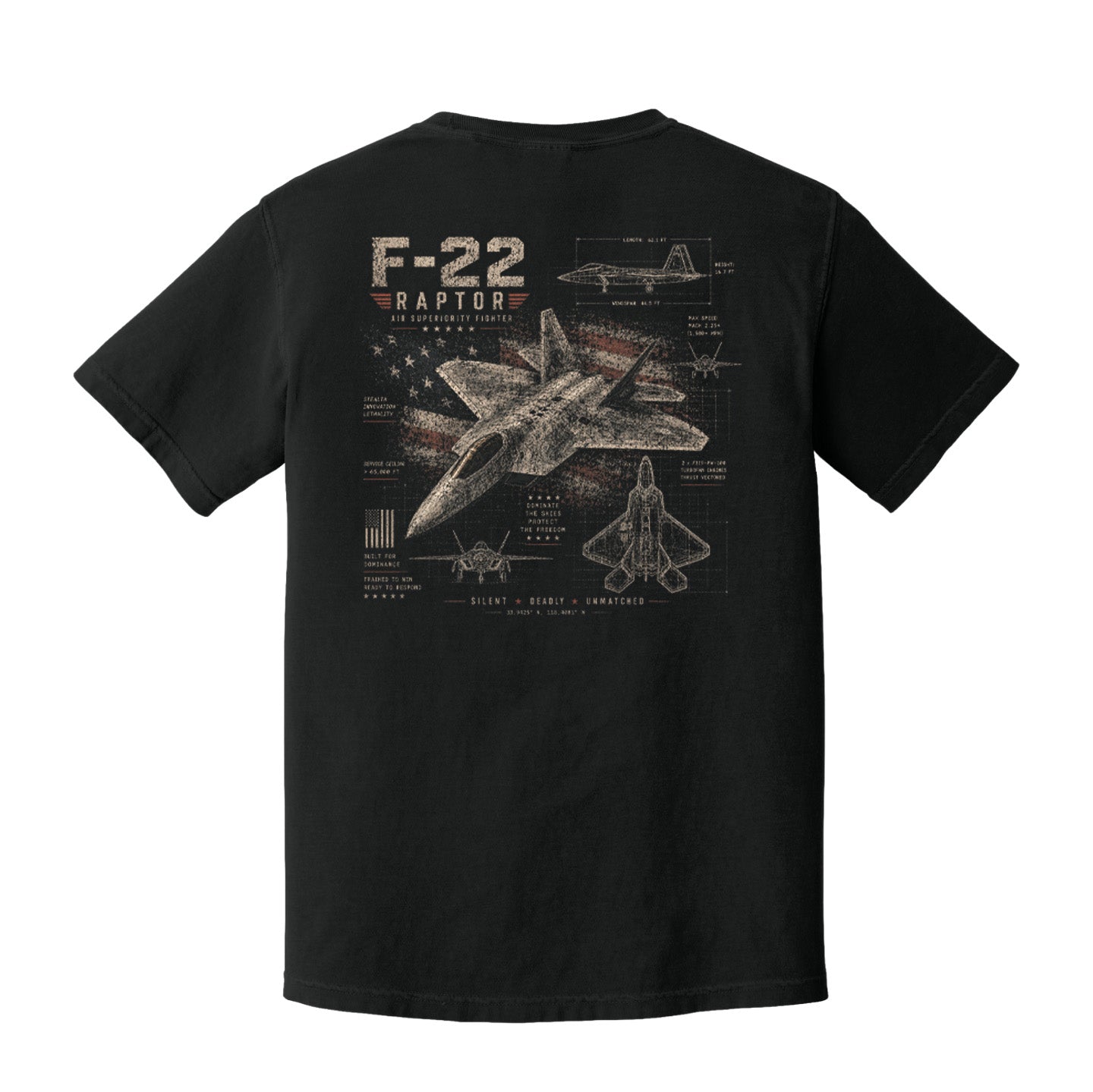 Back view of a black Comfort Colors t-shirt featuring distressed F-22 Raptor military aircraft artwork.