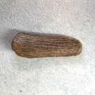 A small, elongated brown wooden or bone-like object with a textured, ribbed surface, placed on a light gray textured background.
