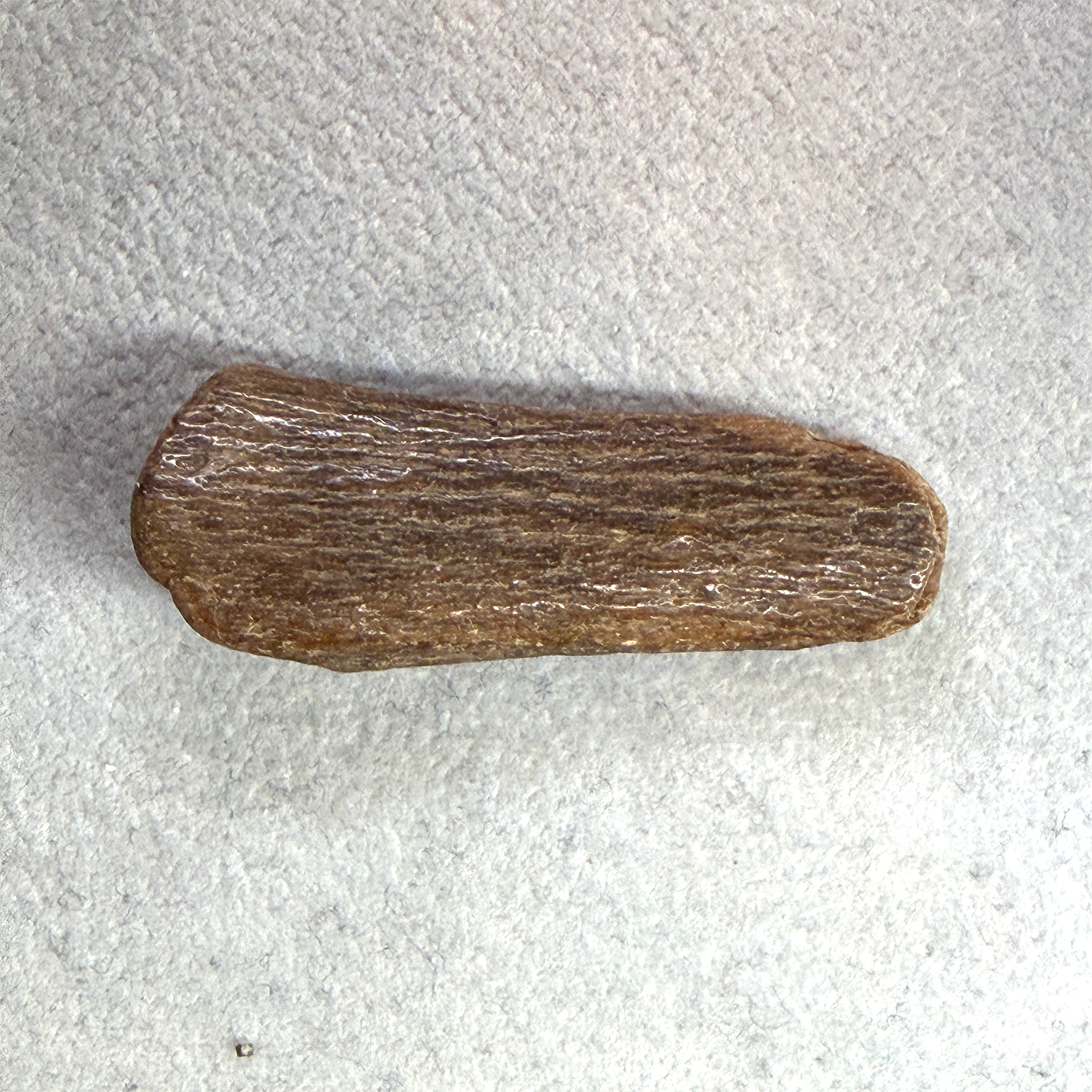 A small, elongated brown wooden or bone-like object with a textured, ribbed surface, placed on a light gray textured background.