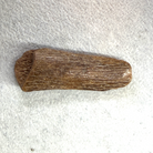 A small natural brown bone or antler-shaped object with visible textured grain, photographed on a white textured paper background.