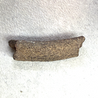 A small curved brown textured piece, possibly a bone fragment or natural artifact, displayed on a white textured background.