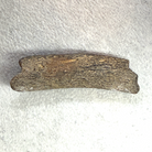 A small, irregularly shaped piece of natural wood with a textured, weathered surface, displayed on a white textured background.