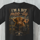 Close-up of the Youth Moody Highland Cow graphic featuring a shaggy Highland cow and vintage country artwork.