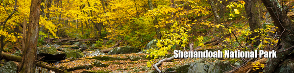 Dark Hollow Falls Metal Bookmark with Tassel – Shenandoah National Park Fall Foliage Scene