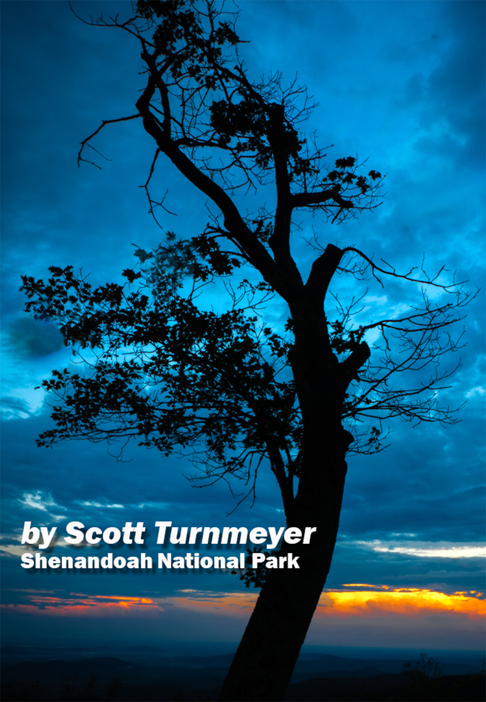 Silhouetted tree at blue hour in Shenandoah National Park with dramatic clouds and glowing horizon, photographed by Scott Turnmeyer