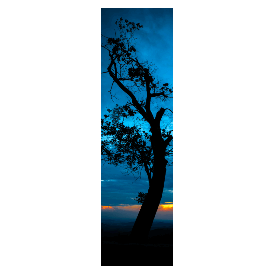 Blue Tree at Sunset in Shenandoah National Park Metal Bookmark with Tassel