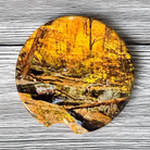 Ceramic car coaster featuring a forest stream along the Dark Hollow Falls trail in Shenandoah National Park surrounded by vibrant autumn foliage.