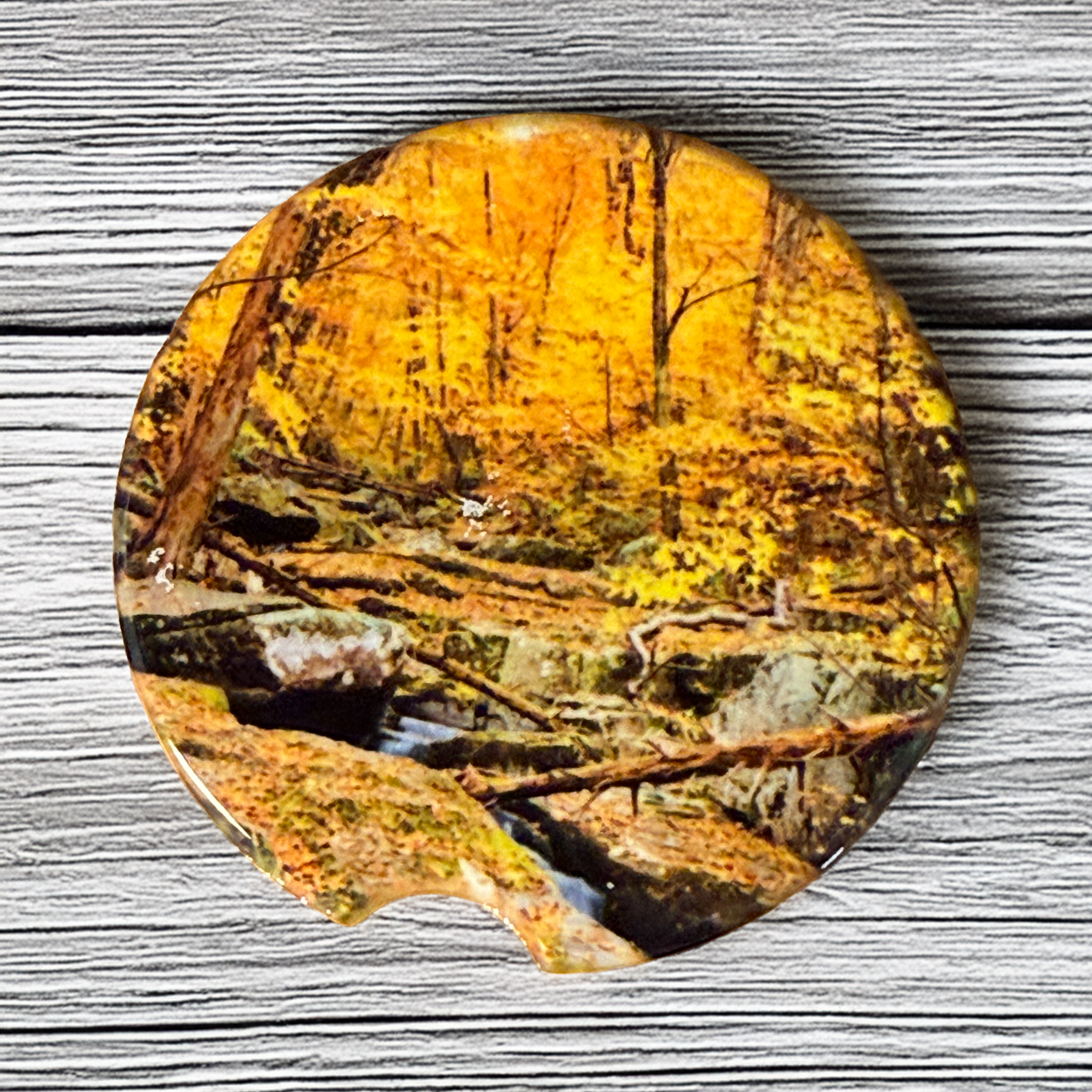 Ceramic car coaster featuring a forest stream along the Dark Hollow Falls trail in Shenandoah National Park surrounded by vibrant autumn foliage.