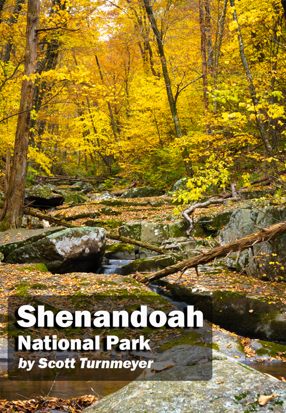 Fall foliage and forest stream in Shenandoah National Park with golden autumn leaves, photographed by Scott Turnmeyer