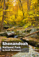 Fall foliage and forest stream in Shenandoah National Park with golden autumn leaves, photographed by Scott Turnmeyer
