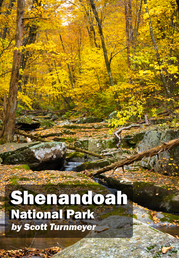 Dark Hollow Falls Magnet Shenandoah National Park Fall Foliage