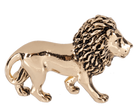 Be Brave and Courageous Lion Charms Pocket Tokens