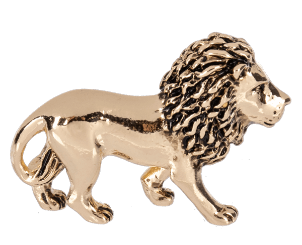 Be Brave and Courageous Lion Charms Pocket Tokens
