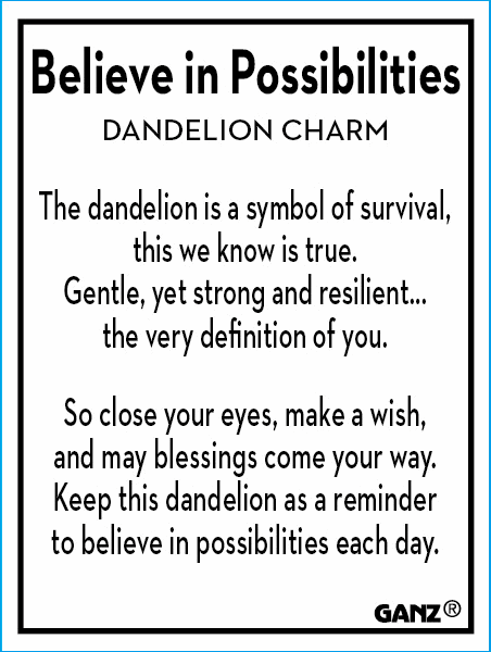 Dandelion Believe In Possibilities Charm Pocket Token
