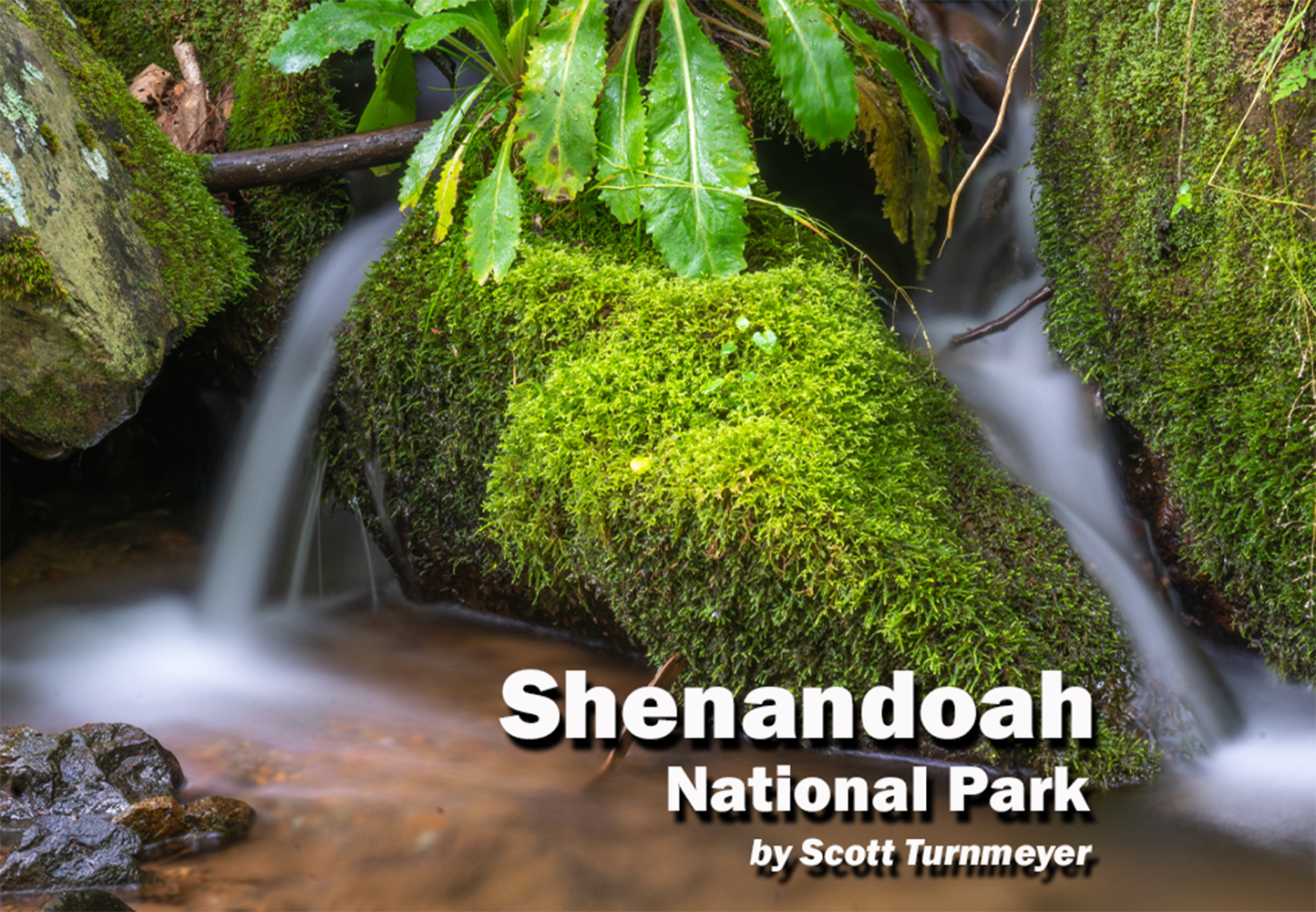 Shenandoah National Park waterfall flowing over moss-covered rocks, photographed by Scott Turnmeyer