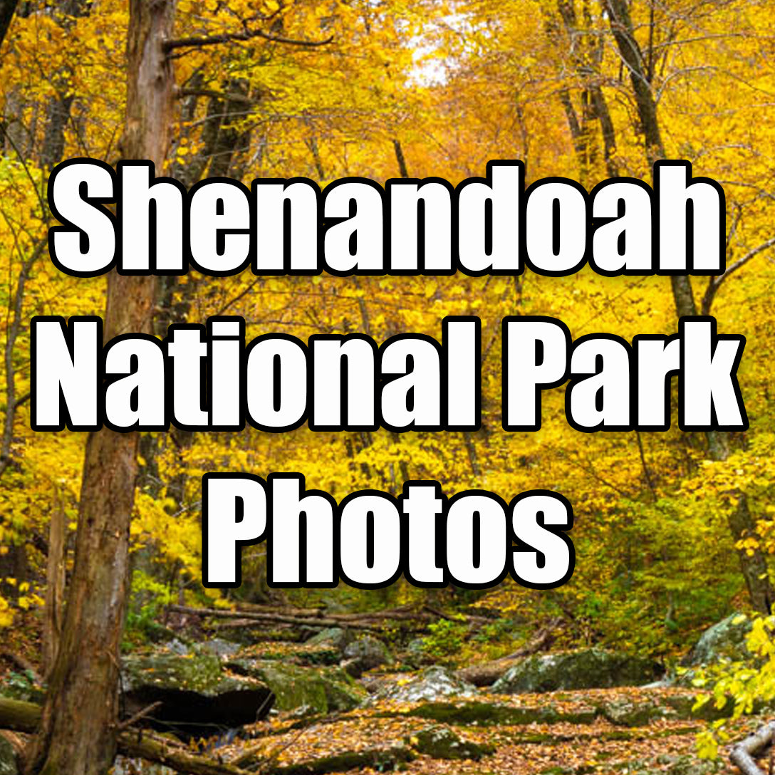 View All Photos taken in the Shenandoah National Park by Scott Turnmeyer