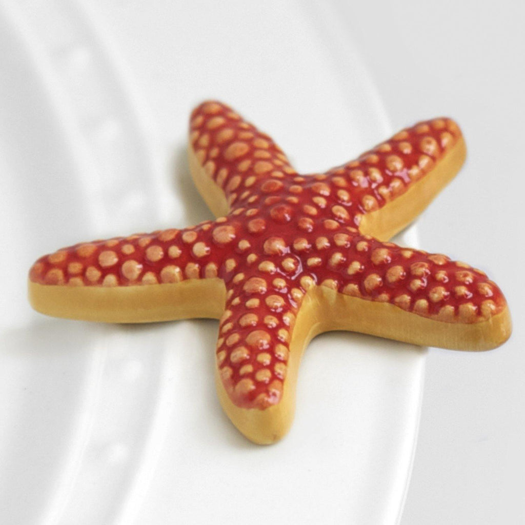 Sea Star Starfish Mini by Nora Fleming - Turnmeyer Galleries