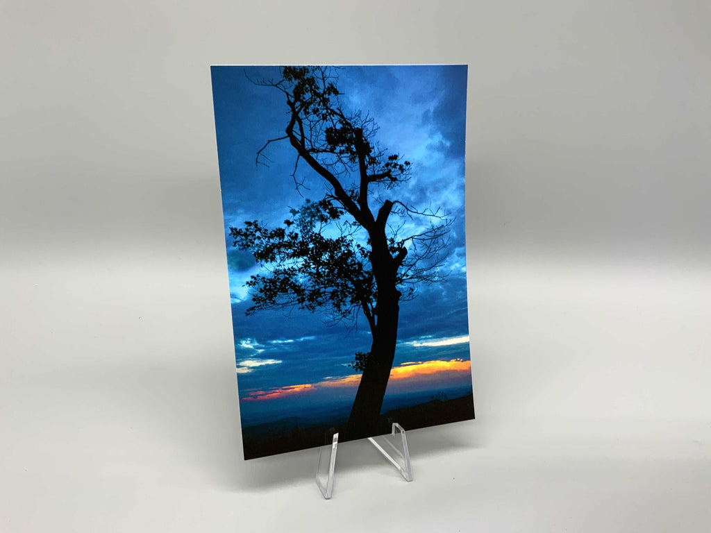 Blue Tree Postcard - Turnmeyer Galleries