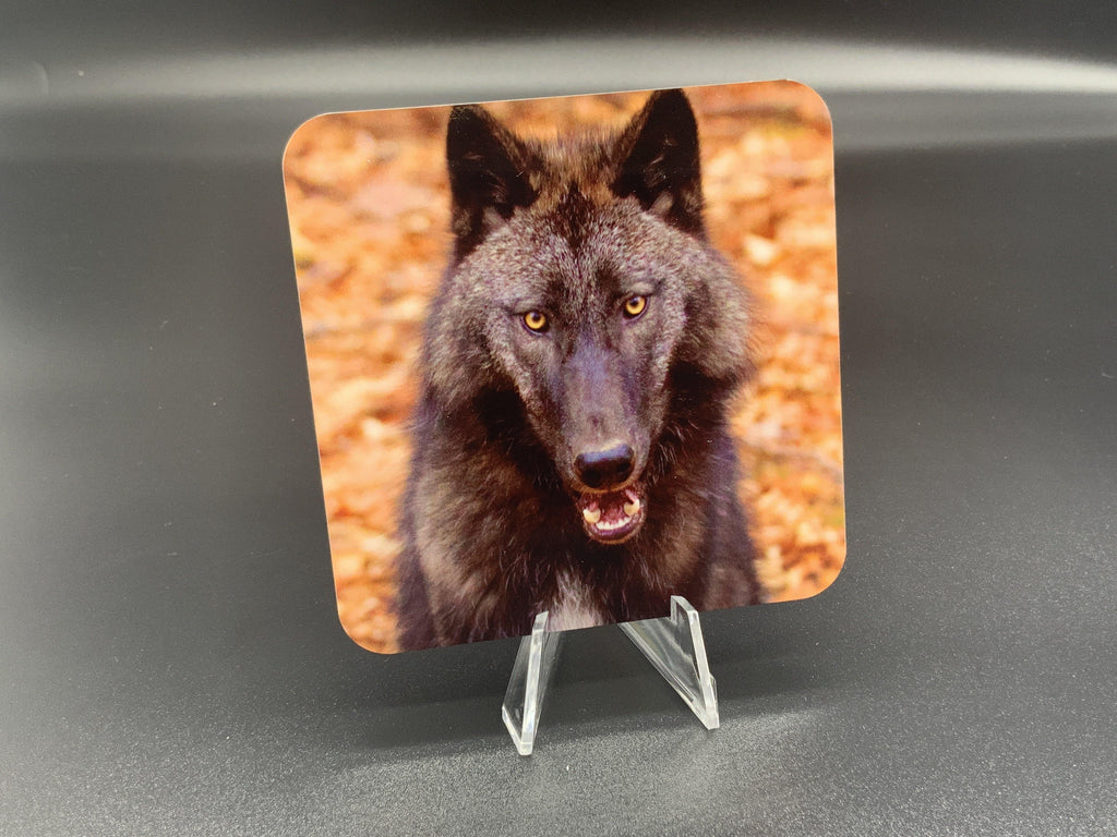 Nightwolf Photographic Coaster - Turnmeyer Galleries
