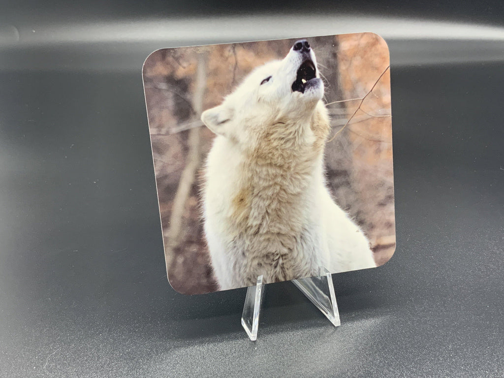 The Howl Photographic Coaster - Turnmeyer Galleries