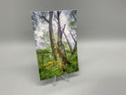 Dark Hollow Trees Postcard - Turnmeyer Galleries